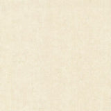 Light Sand, Pearl Distressed Feature Texture Wallpaper - FD58423